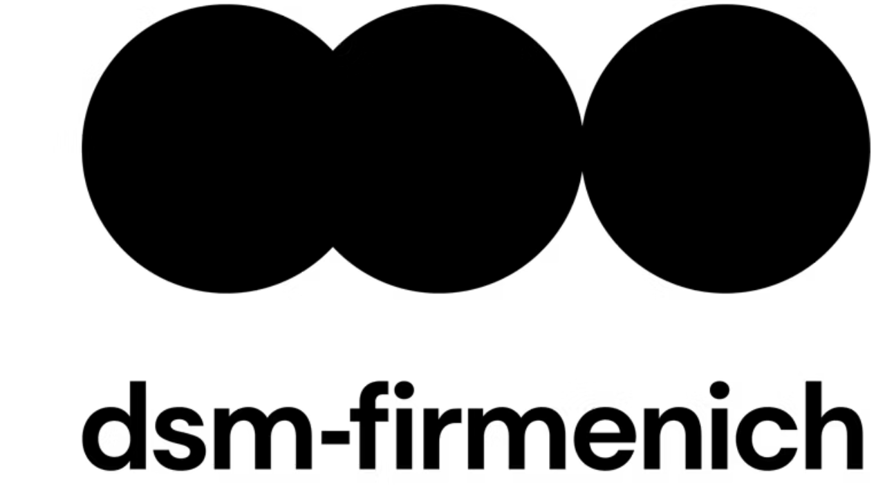 dsm (1)